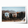 Grazing Cattle Farmhouse Wall Art – Rustic Country Style Decor Print