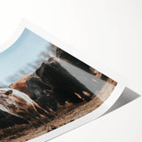 Grazing Cattle Farmhouse Wall Art – Rustic Country Style Decor Print