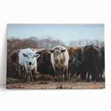 Grazing Cattle Farmhouse Wall Art – Rustic Country Style Decor Print