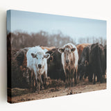 Grazing Cattle Farmhouse Wall Art – Rustic Country Style Decor Print