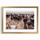 Cattle Herd on the Move Farmhouse Wall Art – Rustic Country Decor Print
