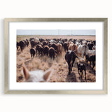 Cattle Herd on the Move Farmhouse Wall Art – Rustic Country Decor Print