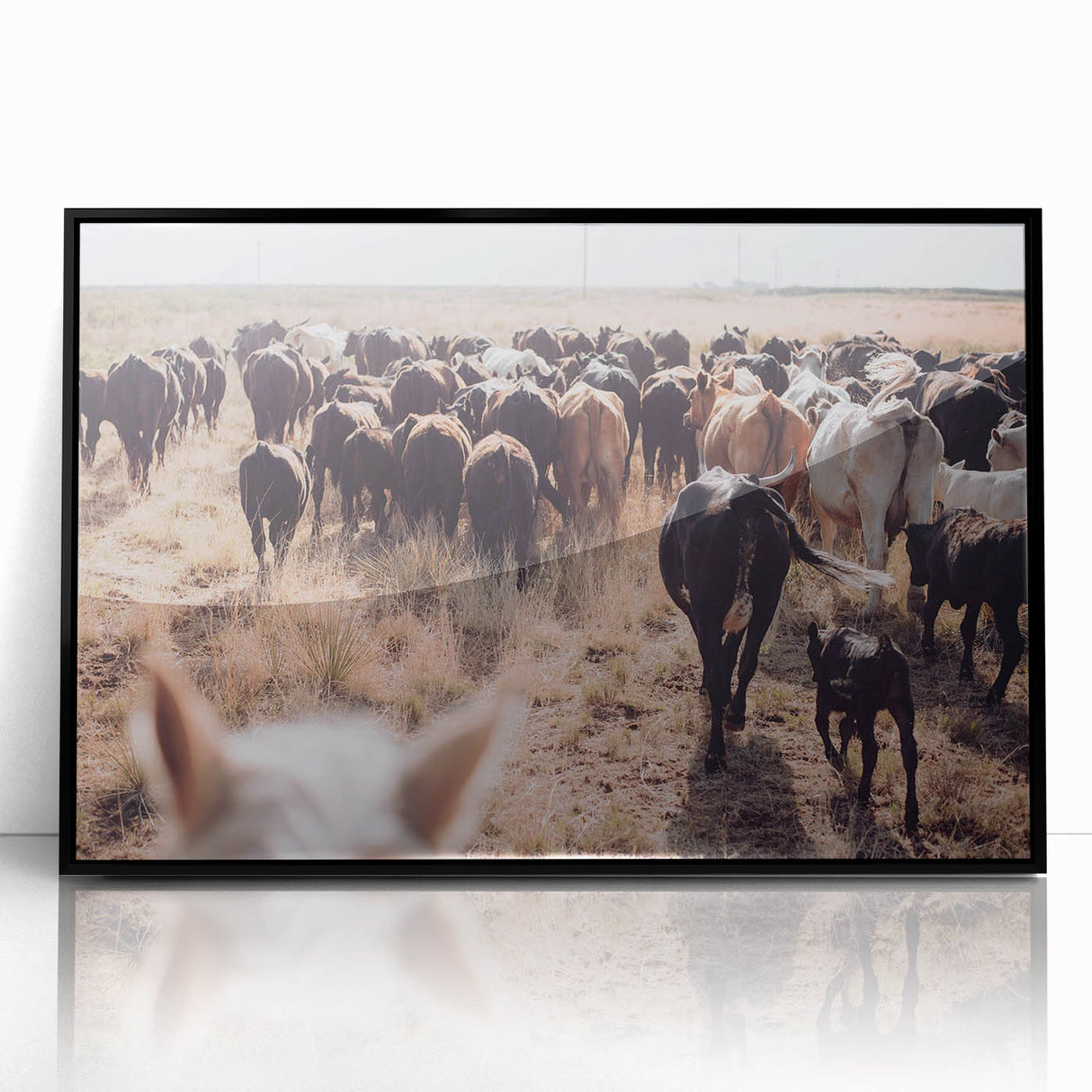 Cattle Herd on the Move Farmhouse Wall Art – Rustic Country Decor Print