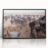 Cattle Herd on the Move Farmhouse Wall Art – Rustic Country Decor Print