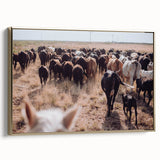 Cattle Herd on the Move Farmhouse Wall Art – Rustic Country Decor Print