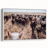 Cattle Herd on the Move Farmhouse Wall Art – Rustic Country Decor Print