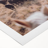 Cattle Herd on the Move Farmhouse Wall Art – Rustic Country Decor Print