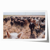Cattle Herd on the Move Farmhouse Wall Art – Rustic Country Decor Print