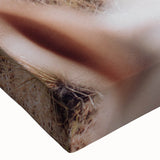 Cattle Herd on the Move Farmhouse Wall Art – Rustic Country Decor Print