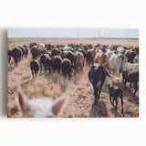 Cattle Herd on the Move Farmhouse Wall Art – Rustic Country Decor Print