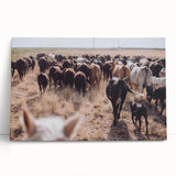 Cattle Herd on the Move Farmhouse Wall Art – Rustic Country Decor Print