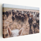 Cattle Herd on the Move Farmhouse Wall Art – Rustic Country Decor Print