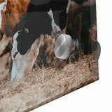 Grazing Cattle Farmhouse Wall Art – Rustic Country Style Decor Print
