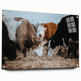 Grazing Cattle Farmhouse Wall Art – Rustic Country Style Decor Print