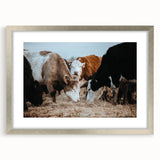 Grazing Cattle Farmhouse Wall Art – Rustic Country Style Decor Print