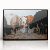 Grazing Cattle Farmhouse Wall Art – Rustic Country Style Decor Print