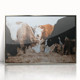 Grazing Cattle Farmhouse Wall Art – Rustic Country Style Decor Print