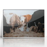 Grazing Cattle Farmhouse Wall Art – Rustic Country Style Decor Print