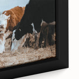 Grazing Cattle Farmhouse Wall Art – Rustic Country Style Decor Print