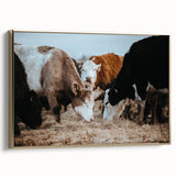 Grazing Cattle Farmhouse Wall Art – Rustic Country Style Decor Print