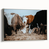 Grazing Cattle Farmhouse Wall Art – Rustic Country Style Decor Print