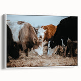Grazing Cattle Farmhouse Wall Art – Rustic Country Style Decor Print