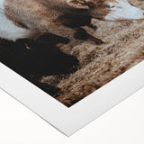 Grazing Cattle Farmhouse Wall Art – Rustic Country Style Decor Print