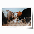 Grazing Cattle Farmhouse Wall Art – Rustic Country Style Decor Print