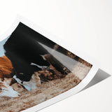 Grazing Cattle Farmhouse Wall Art – Rustic Country Style Decor Print