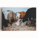Grazing Cattle Farmhouse Wall Art – Rustic Country Style Decor Print