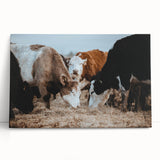 Grazing Cattle Farmhouse Wall Art – Rustic Country Style Decor Print