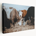 Grazing Cattle Farmhouse Wall Art – Rustic Country Style Decor Print