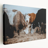 Grazing Cattle Farmhouse Wall Art – Rustic Country Style Decor Print