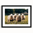 Sheep in the Field Farmhouse Wall Art – Rustic Country Style Decor Print