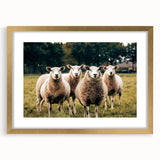 Sheep in the Field Farmhouse Wall Art – Rustic Country Style Decor Print
