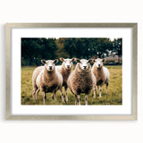 Sheep in the Field Farmhouse Wall Art – Rustic Country Style Decor Print
