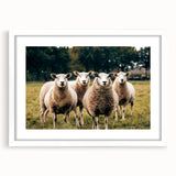 Sheep in the Field Farmhouse Wall Art – Rustic Country Style Decor Print