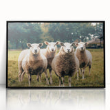 Sheep in the Field Farmhouse Wall Art – Rustic Country Style Decor Print