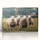 Sheep in the Field Farmhouse Wall Art – Rustic Country Style Decor Print