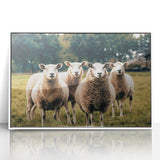 Sheep in the Field Farmhouse Wall Art – Rustic Country Style Decor Print