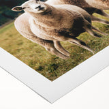 Sheep in the Field Farmhouse Wall Art – Rustic Country Style Decor Print