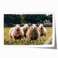 Sheep in the Field Farmhouse Wall Art – Rustic Country Style Decor Print