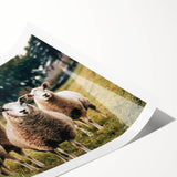 Sheep in the Field Farmhouse Wall Art – Rustic Country Style Decor Print