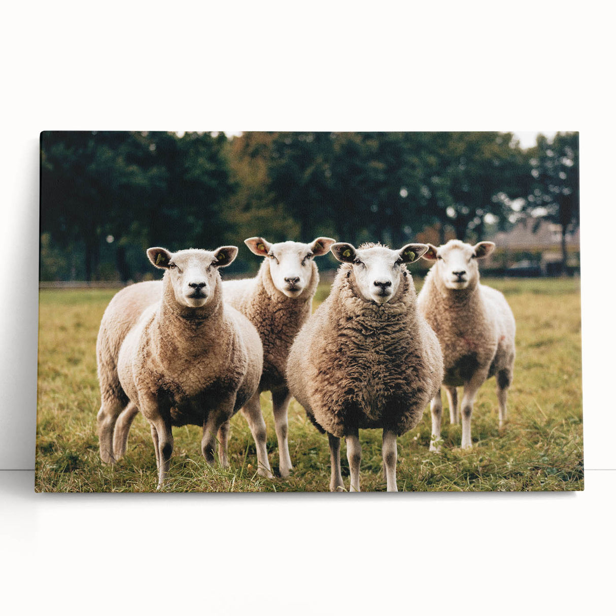 Sheep in the Field Farmhouse Wall Art – Rustic Country Style Decor Print
