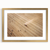 Harvested Field Aerial View Wall Art – Rustic Farmhouse Decor Print
