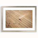 Harvested Field Aerial View Wall Art – Rustic Farmhouse Decor Print