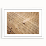Harvested Field Aerial View Wall Art – Rustic Farmhouse Decor Print