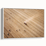 Harvested Field Aerial View Wall Art – Rustic Farmhouse Decor Print