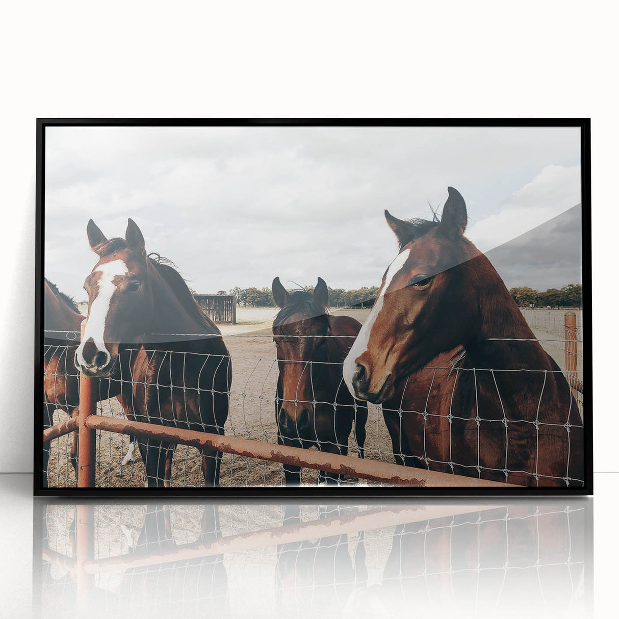 Horses at the Fence Farmhouse Wall Art – Rustic Country Style Print