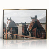 Horses at the Fence Farmhouse Wall Art – Rustic Country Style Print